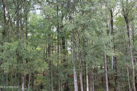 2 Hickory Hollow Rd, Hernando, MS 38632 photo 35