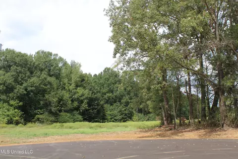 2 Hickory Hollow Rd, Hernando, MS 38632 photo 65
