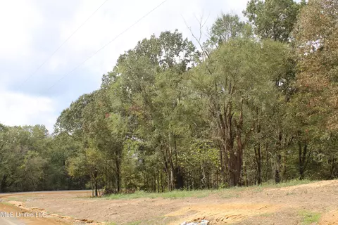 2 Hickory Hollow Rd, Hernando, MS 38632 photo 27