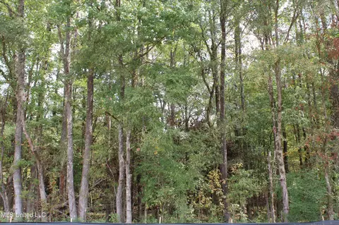 2 Hickory Hollow Rd, Hernando, MS 38632 photo 34