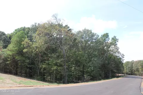 2 Hickory Hollow Rd, Hernando, MS 38632 photo 2