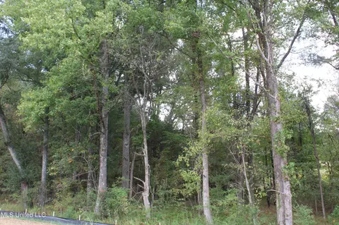 2 Hickory Hollow Rd, Hernando, MS 38632 photo 37