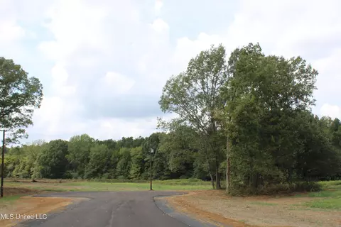 2 Hickory Hollow Rd, Hernando, MS 38632 photo 64