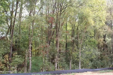 2 Hickory Hollow Rd, Hernando, MS 38632 photo 33