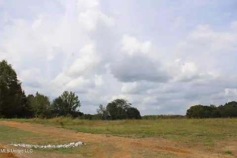3 Hickory Hollow Rd, Hernando, MS 38632 photo 58