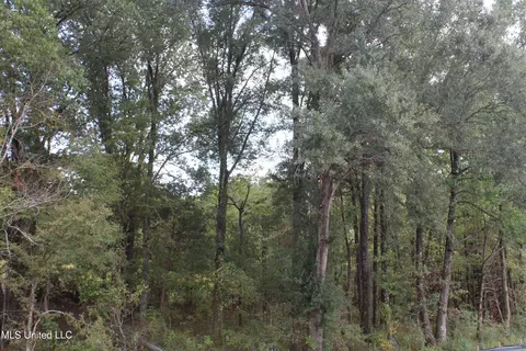 7 Hickory Hollow Rd, Hernando, MS 38632 photo 38