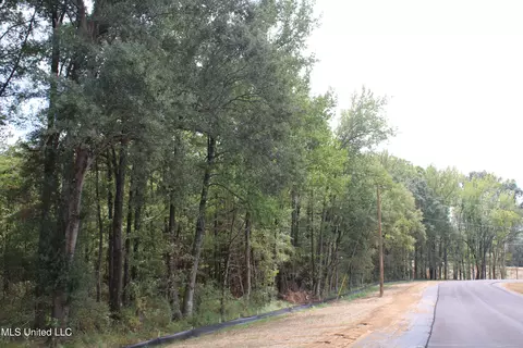 7 Hickory Hollow Rd, Hernando, MS 38632 photo 39
