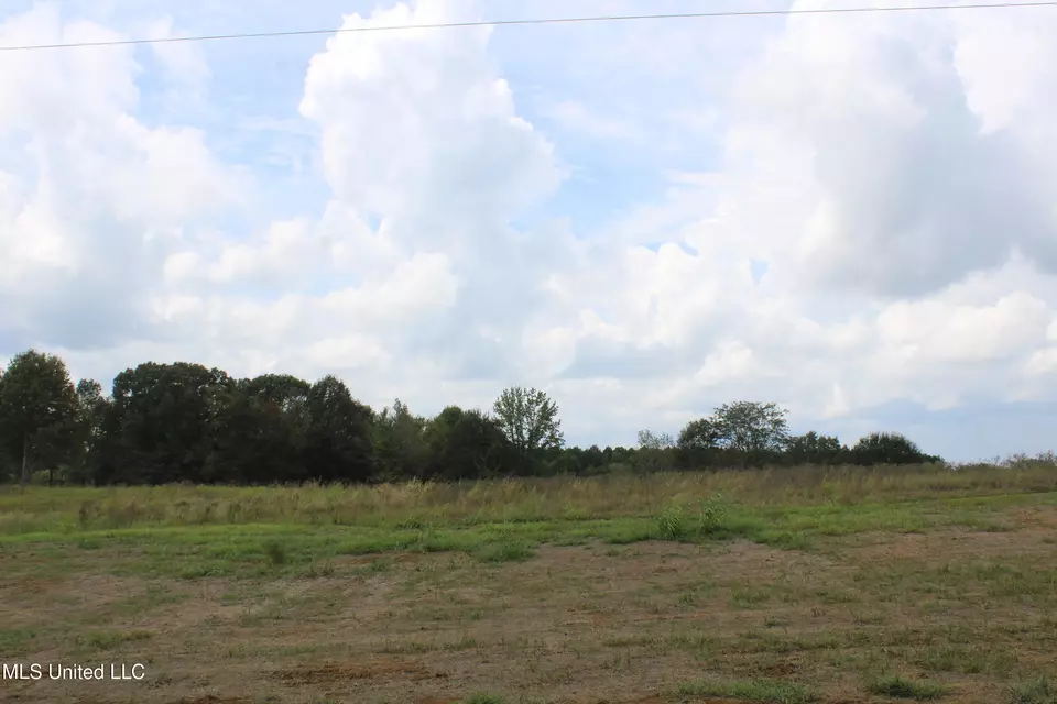  8 Hickory Hollow Rd, Hernando, MS 38632 photo 55