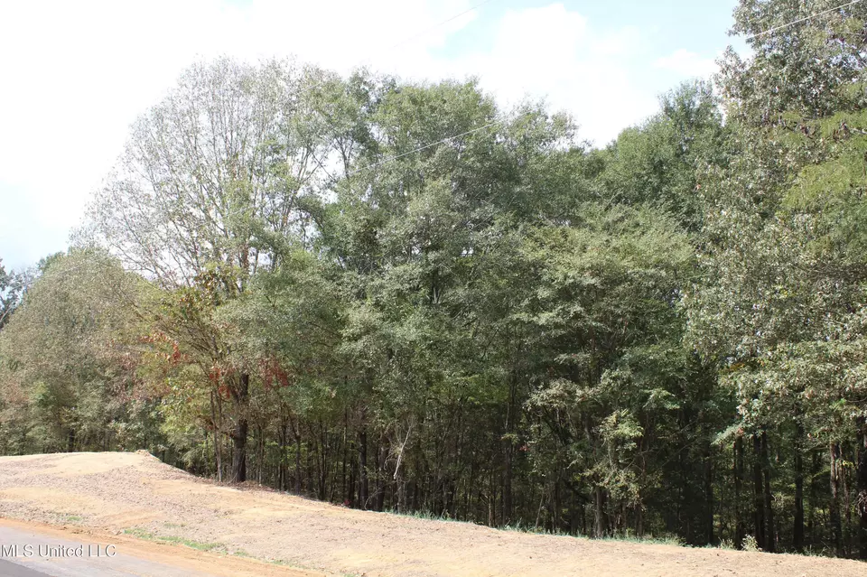  8 Hickory Hollow Rd, Hernando, MS 38632 photo 23