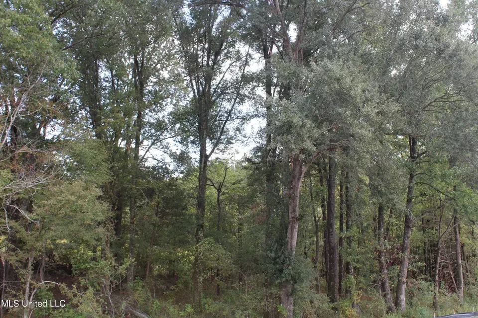  8 Hickory Hollow Rd, Hernando, MS 38632 photo 38