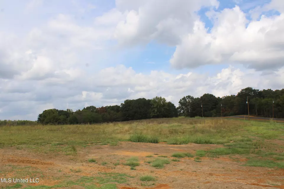  8 Hickory Hollow Rd, Hernando, MS 38632 photo 57