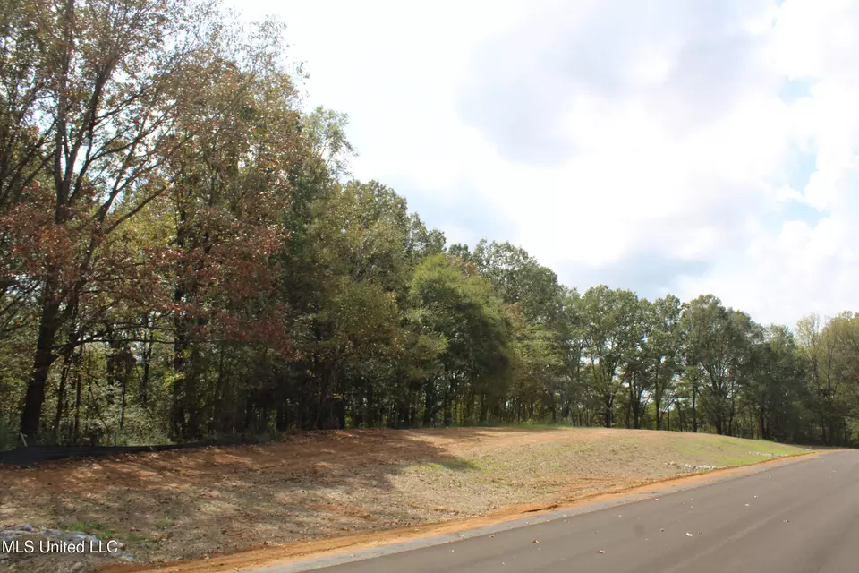  8 Hickory Hollow Rd, Hernando, MS 38632 photo 7