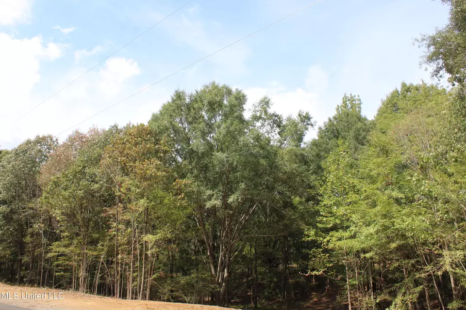  8 Hickory Hollow Rd, Hernando, MS 38632 photo 22