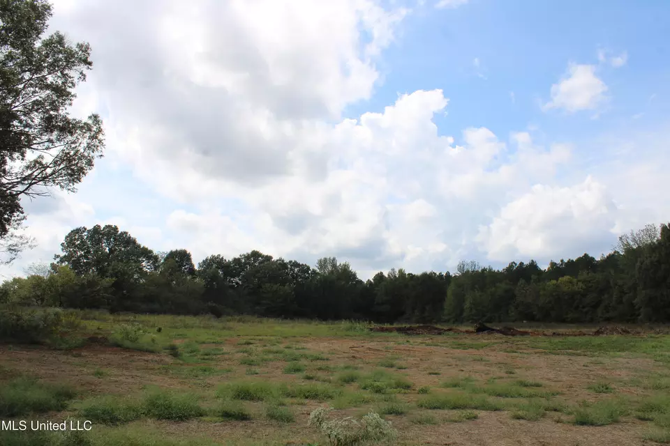  8 Hickory Hollow Rd, Hernando, MS 38632 photo 16