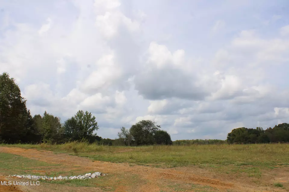  8 Hickory Hollow Rd, Hernando, MS 38632 photo 58