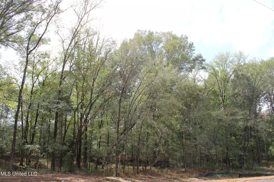  8 Hickory Hollow Rd, Hernando, MS 38632 photo 12