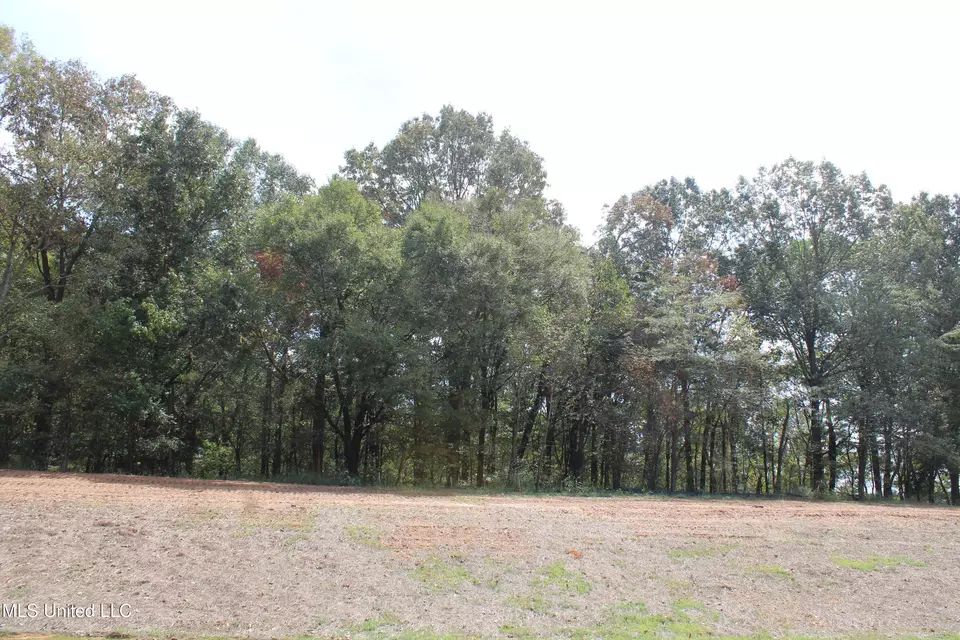  8 Hickory Hollow Rd, Hernando, MS 38632 photo 8