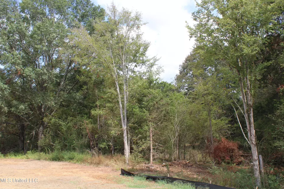  8 Hickory Hollow Rd, Hernando, MS 38632 photo 42