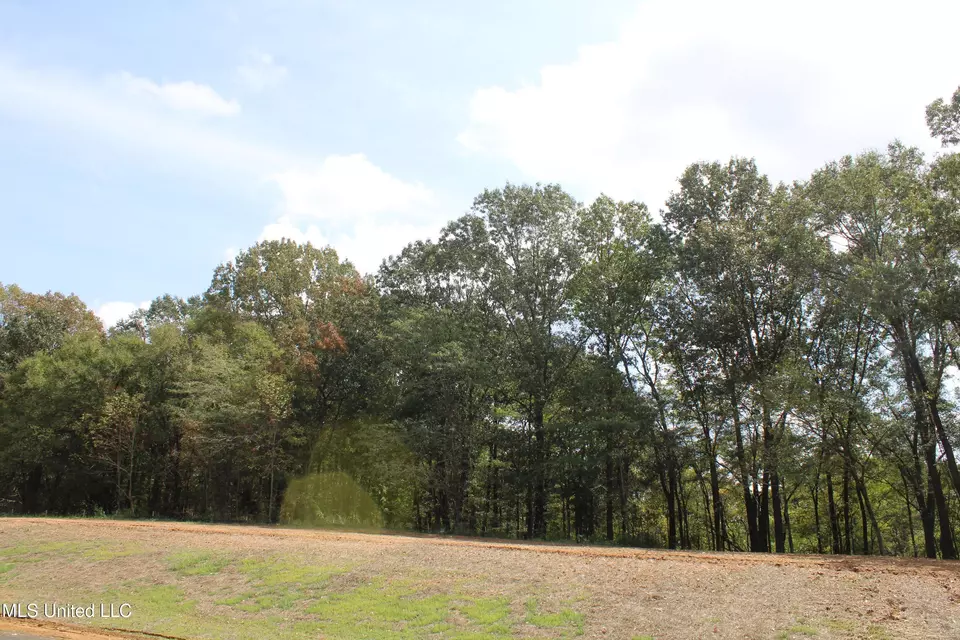  8 Hickory Hollow Rd, Hernando, MS 38632 photo 9