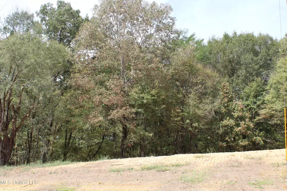  8 Hickory Hollow Rd, Hernando, MS 38632 photo 28