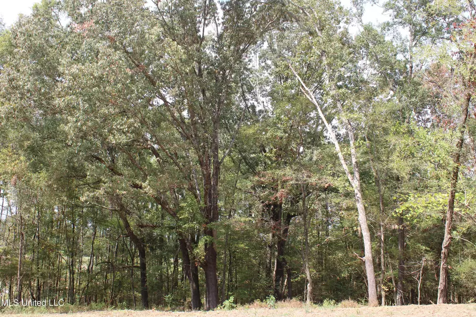  8 Hickory Hollow Rd, Hernando, MS 38632 photo 29