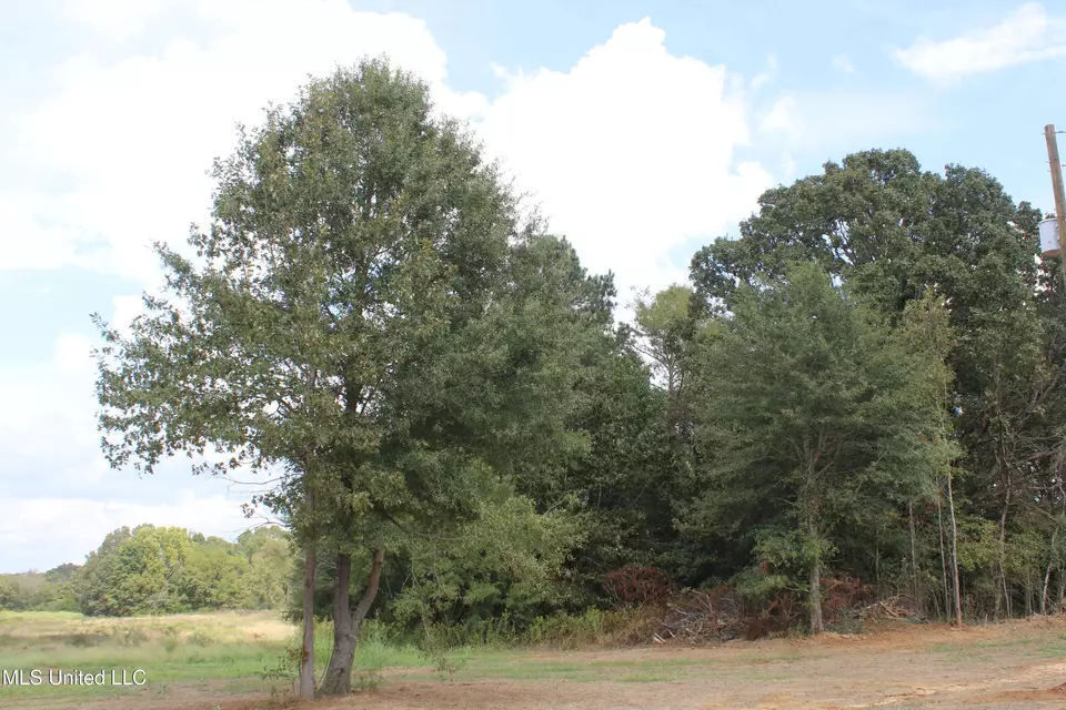  8 Hickory Hollow Rd, Hernando, MS 38632 photo 65