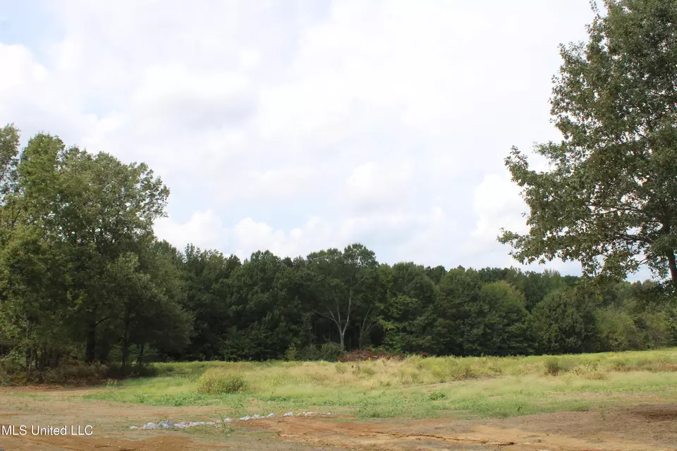  8 Hickory Hollow Rd, Hernando, MS 38632 photo 64