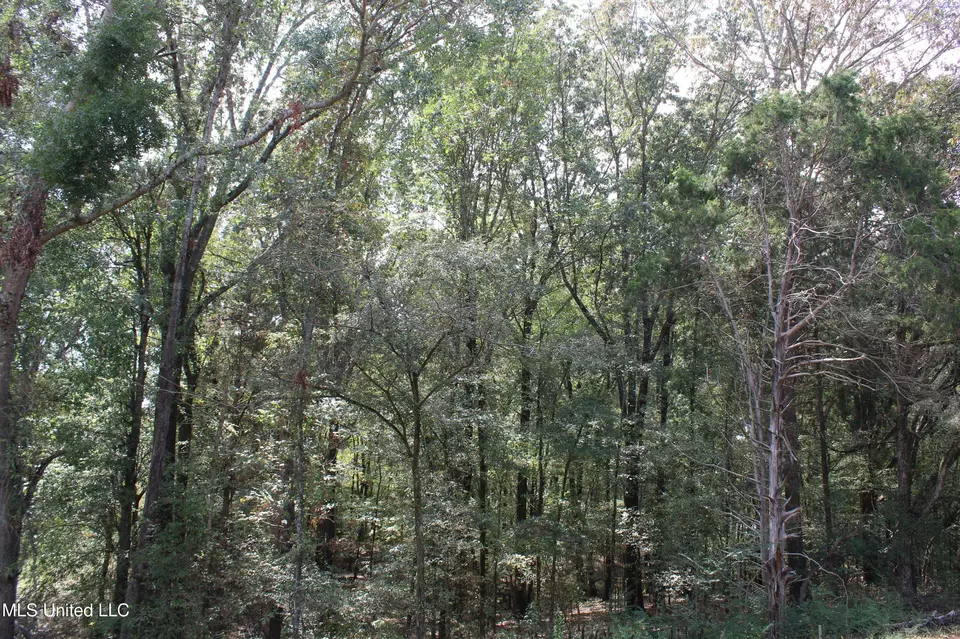 8 Hickory Hollow Rd, Hernando, MS 38632 photo 3