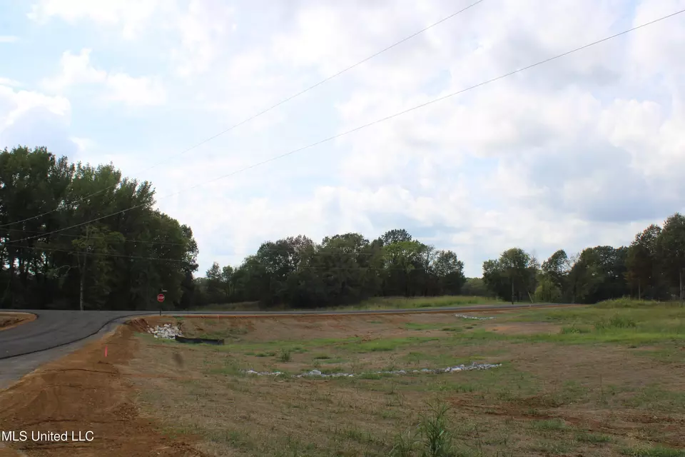  8 Hickory Hollow Rd, Hernando, MS 38632 photo 56