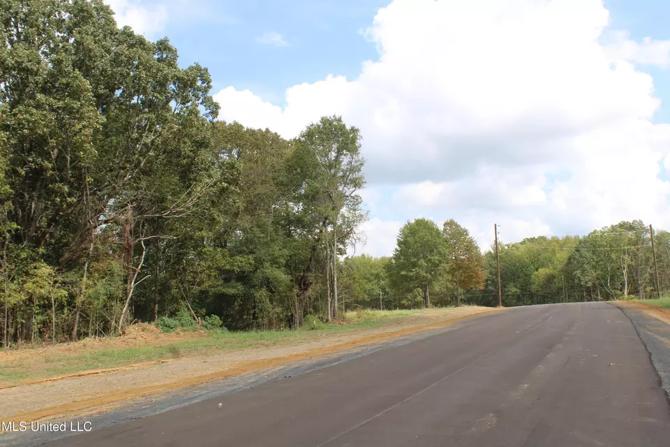  8 Hickory Hollow Rd, Hernando, MS 38632 photo 62