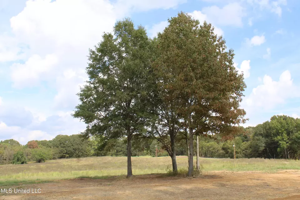  8 Hickory Hollow Rd, Hernando, MS 38632 photo 59