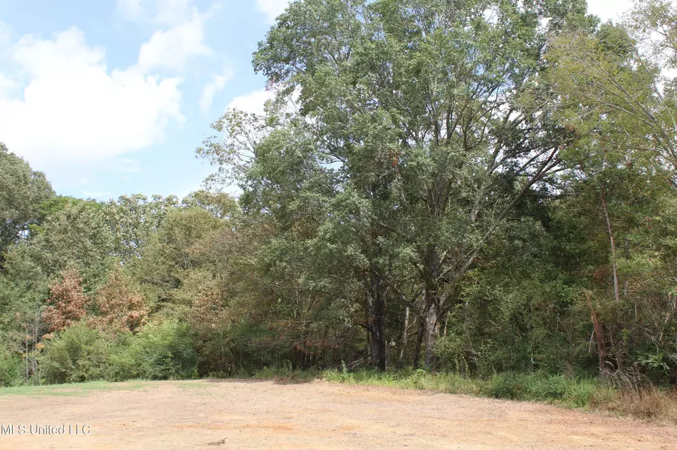  8 Hickory Hollow Rd, Hernando, MS 38632 photo 43
