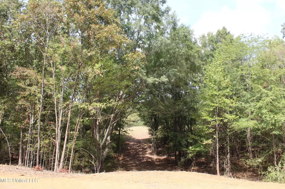 8 Hickory Hollow Rd, Hernando, MS 38632 photo 21