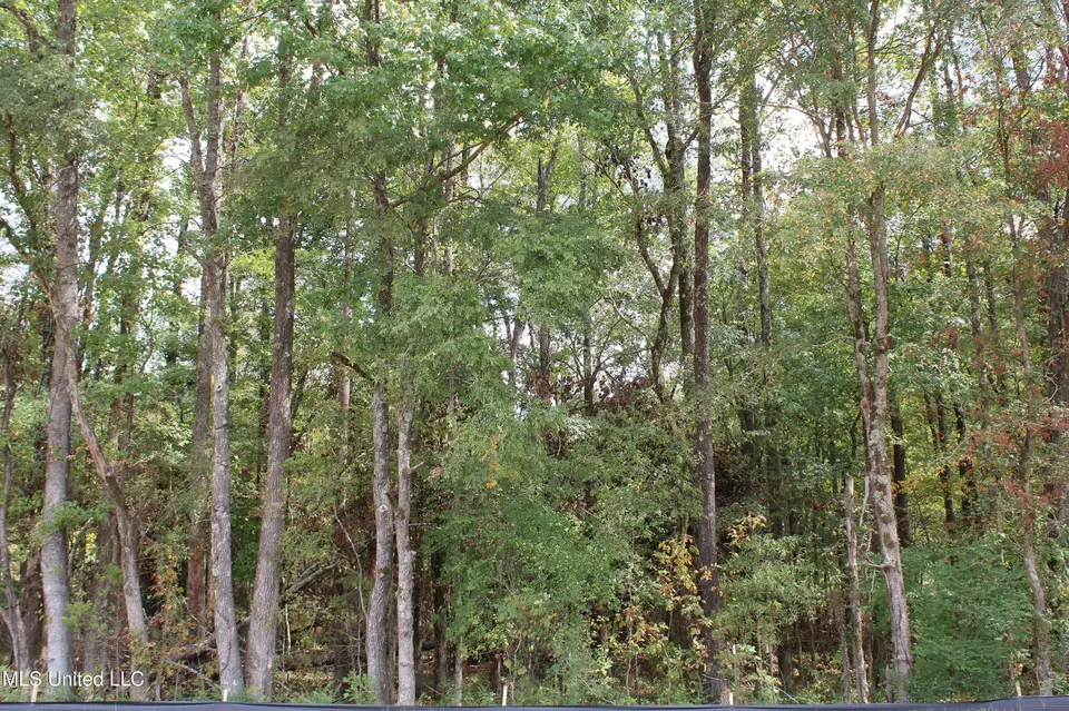  8 Hickory Hollow Rd, Hernando, MS 38632 photo 34