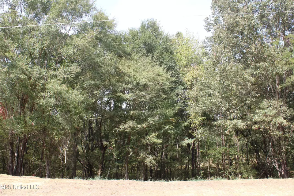  8 Hickory Hollow Rd, Hernando, MS 38632 photo 24
