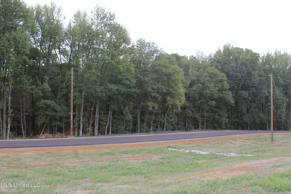  8 Hickory Hollow Rd, Hernando, MS 38632 photo 53