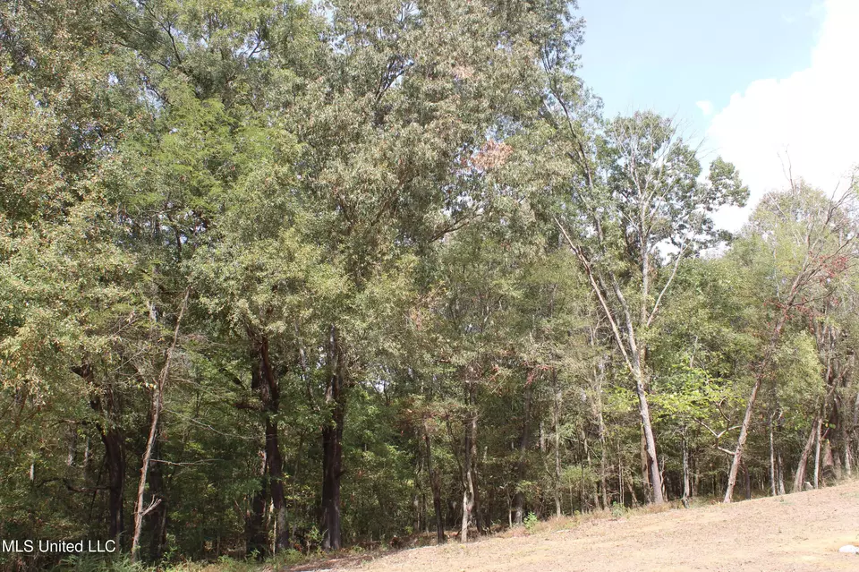  8 Hickory Hollow Rd, Hernando, MS 38632 photo 30