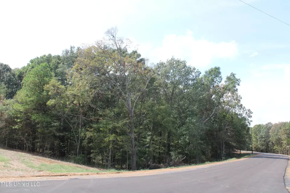  8 Hickory Hollow Rd, Hernando, MS 38632 photo 2