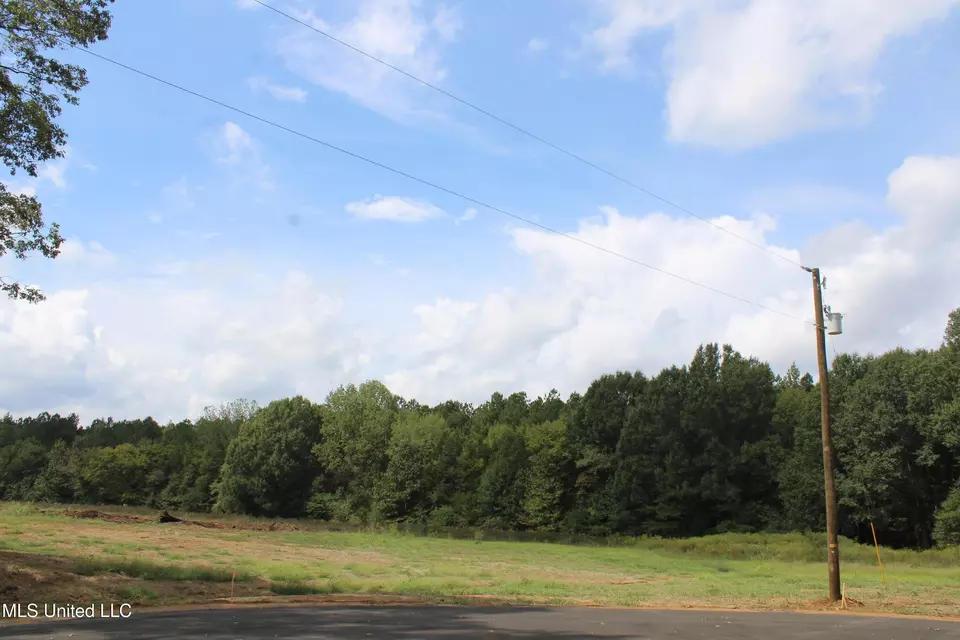  8 Hickory Hollow Rd, Hernando, MS 38632 photo 15