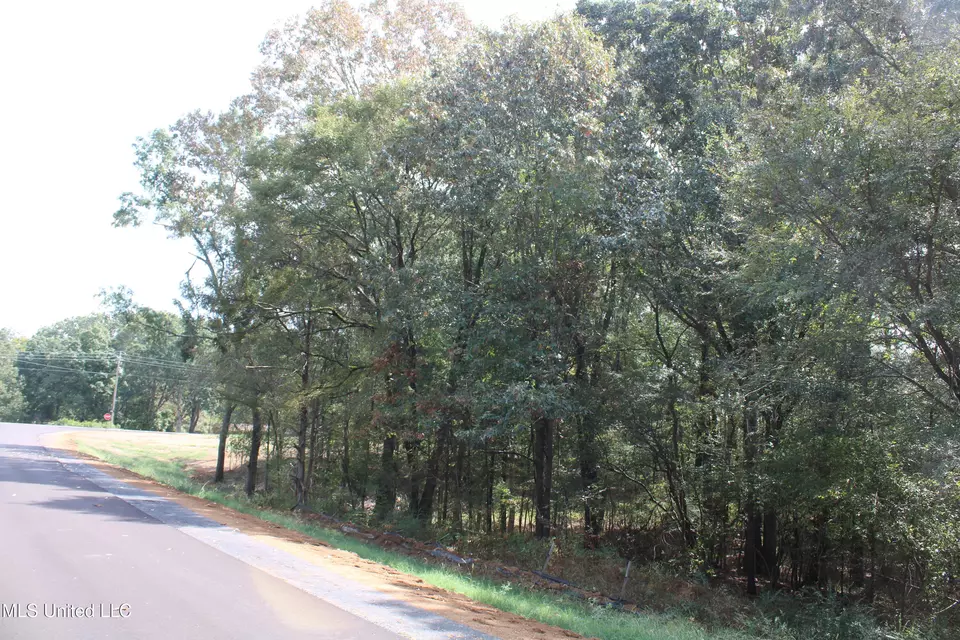  8 Hickory Hollow Rd, Hernando, MS 38632 photo 5