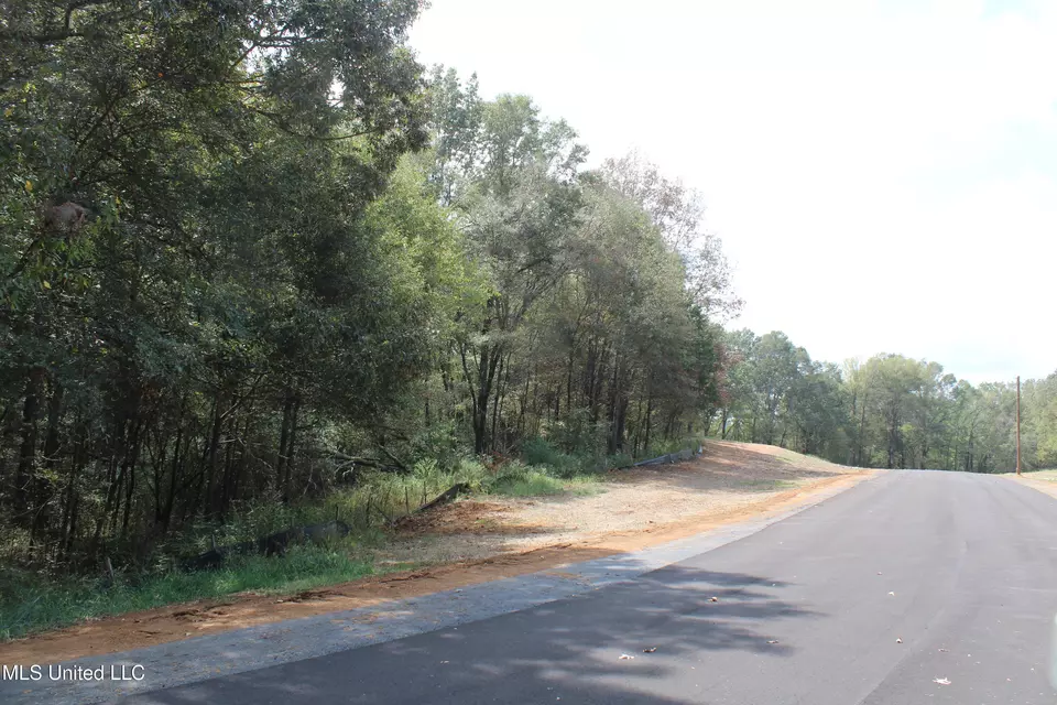  8 Hickory Hollow Rd, Hernando, MS 38632 photo 6