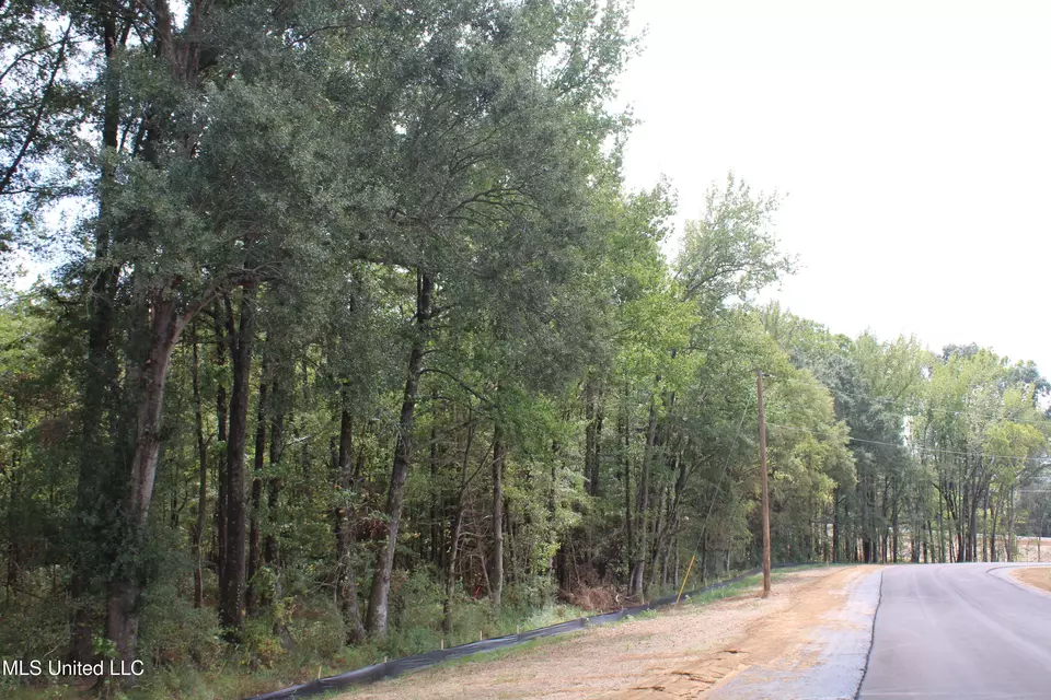  8 Hickory Hollow Rd, Hernando, MS 38632 photo 39