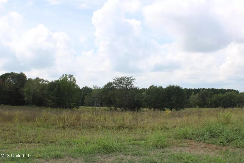  8 Hickory Hollow Rd, Hernando, MS 38632 photo 51
