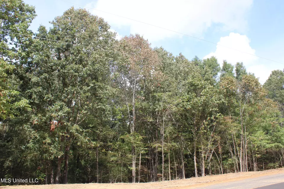  8 Hickory Hollow Rd, Hernando, MS 38632 photo 20