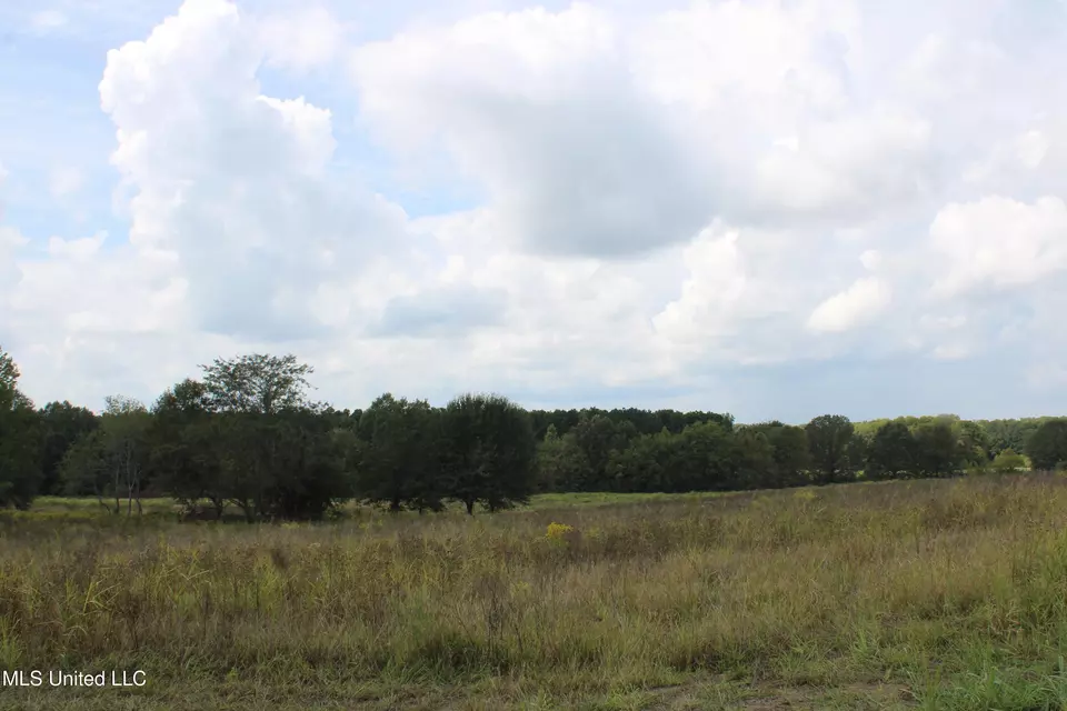  8 Hickory Hollow Rd, Hernando, MS 38632 photo 52
