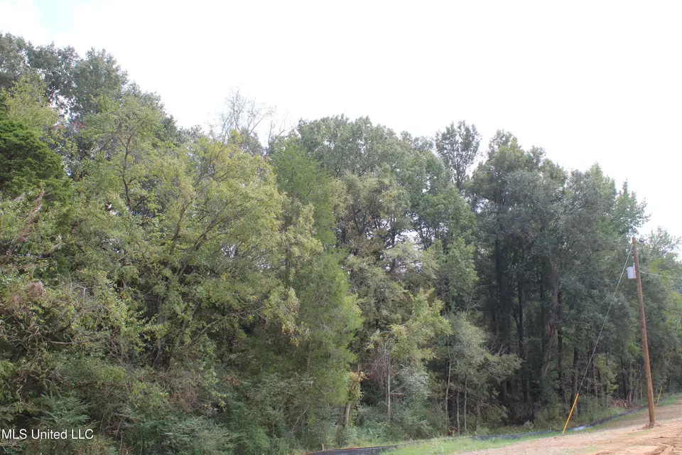  8 Hickory Hollow Rd, Hernando, MS 38632 photo 41