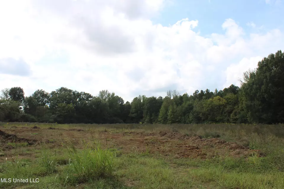  8 Hickory Hollow Rd, Hernando, MS 38632 photo 17