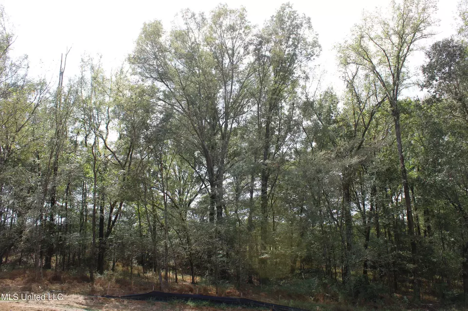  8 Hickory Hollow Rd, Hernando, MS 38632 photo 13