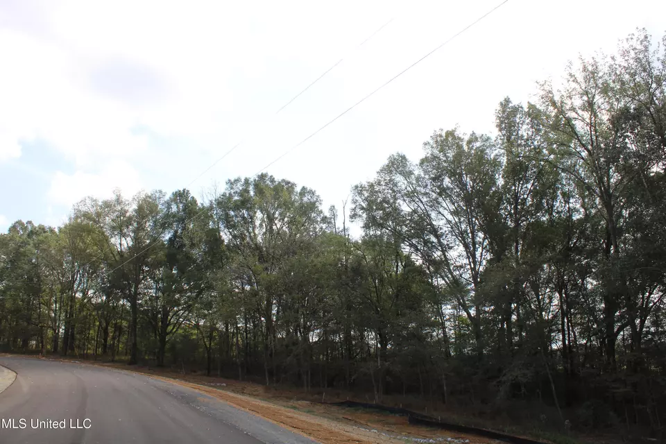  8 Hickory Hollow Rd, Hernando, MS 38632 photo 14