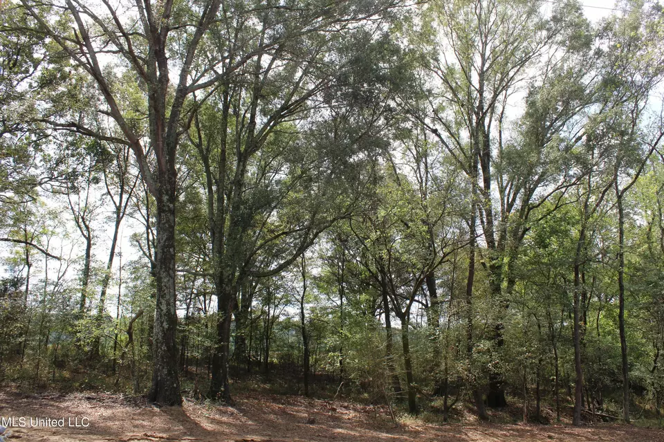  8 Hickory Hollow Rd, Hernando, MS 38632 photo 11